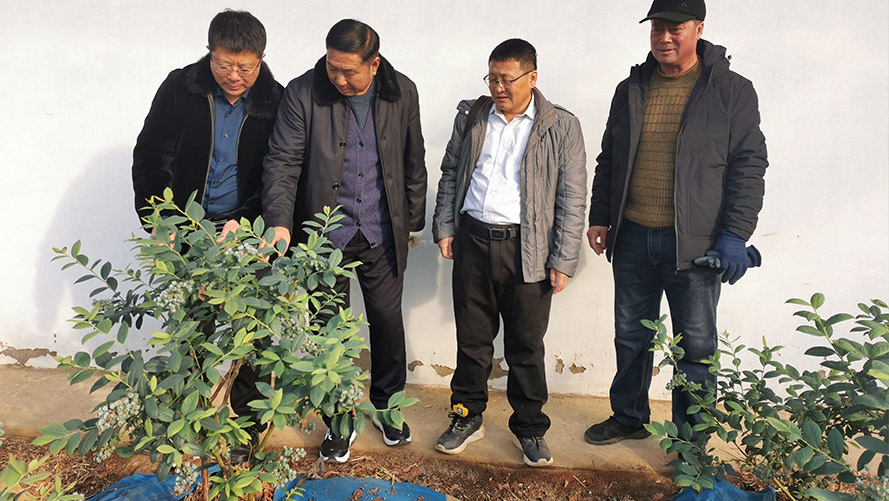 省农科院技术支持